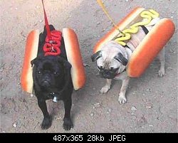 Нажмите на изображение для увеличения
Название: hotdogs.jpg
Просмотров: 208
Размер:	27.7 Кб
ID:	2382
