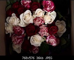 Нажмите на изображение для увеличения
Название: roses.jpg
Просмотров: 427
Размер:	36.3 Кб
ID:	4860